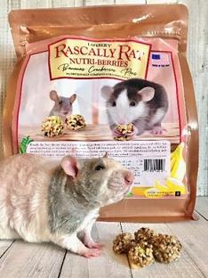 Preacher says Rascally Rat Nutri-Berries are the yummiest! Courtesy of Brandi Saxton
