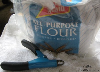 guillotine clippers and flour