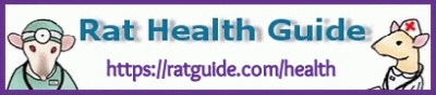 Rat Health Guide